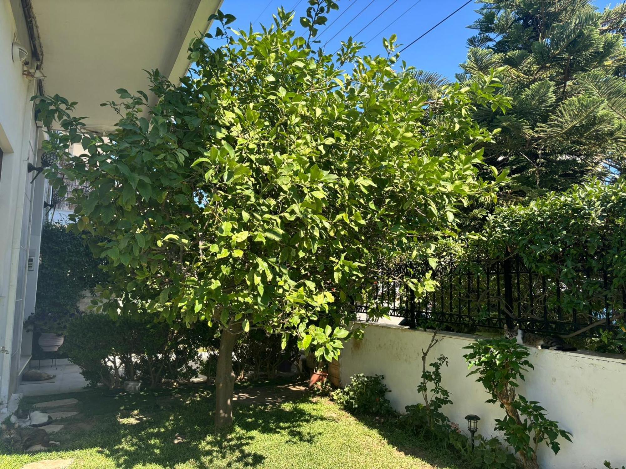 Maria's Next To Alimos Metro Station Apartment Athens